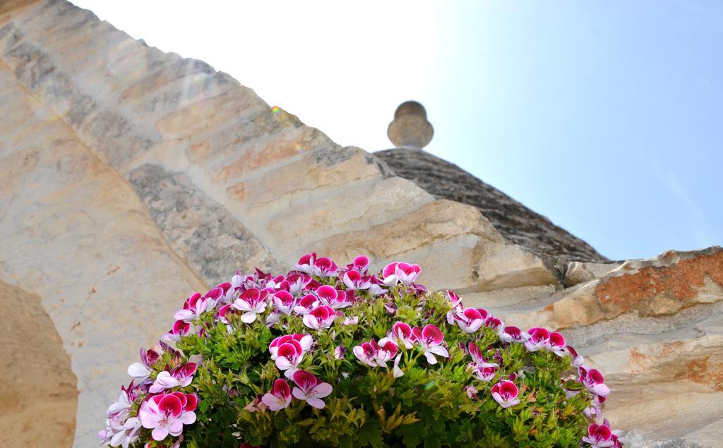 Вілла Il Trullo Del Mirto Сельва-ді-Фазано Екстер'єр фото